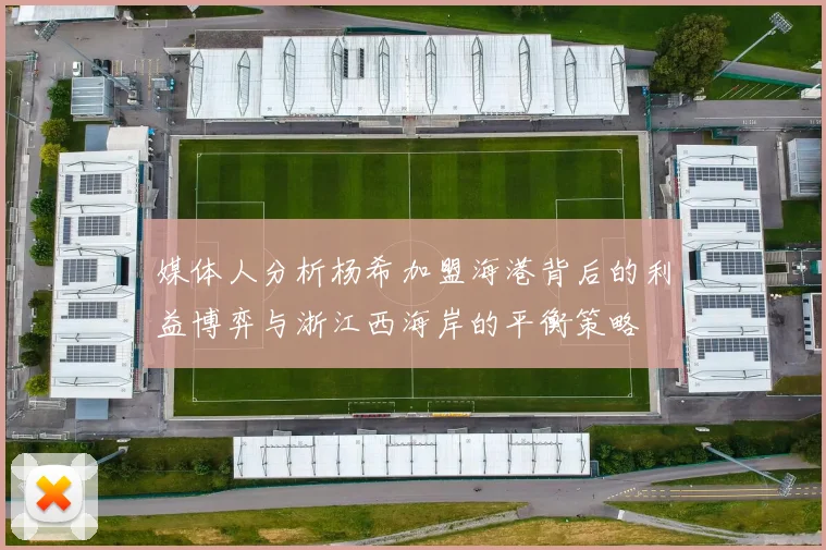 媒体人分析杨希加盟海港背后的利益博弈与浙江西海岸的平衡策略