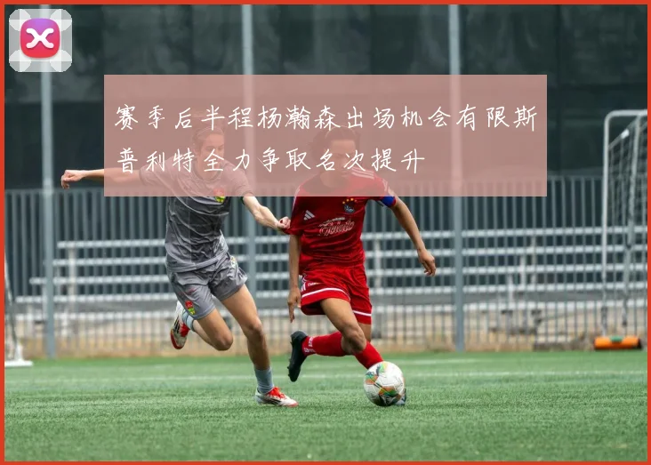 赛季后半程杨瀚森出场机会有限斯普利特全力争取名次提升