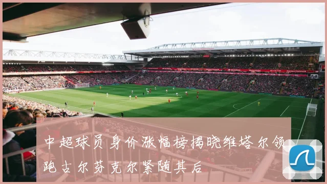 中超球员身价涨幅榜揭晓维塔尔领跑古尔芬克尔紧随其后