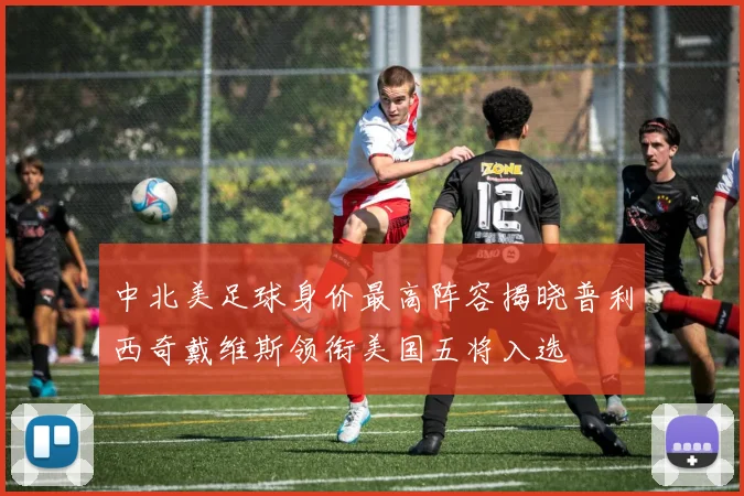 中北美足球身价最高阵容揭晓普利西奇戴维斯领衔美国五将入选