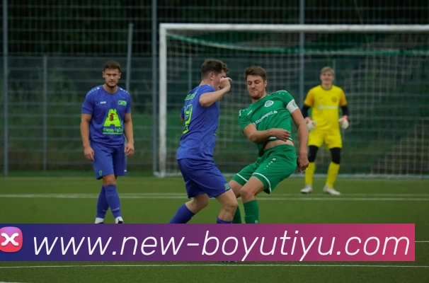 博鱼体育平台生态图